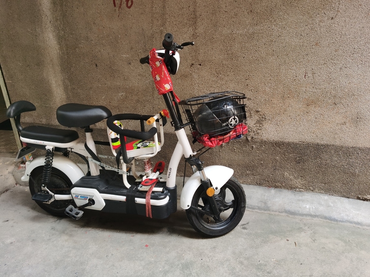 台铃电动车，买来10个月左右，大品牌，质量...