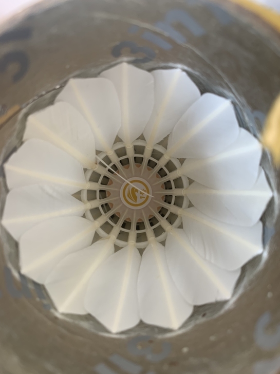 羽毛球比赛用球鸭毛鹅毛耐打12只装全新正品