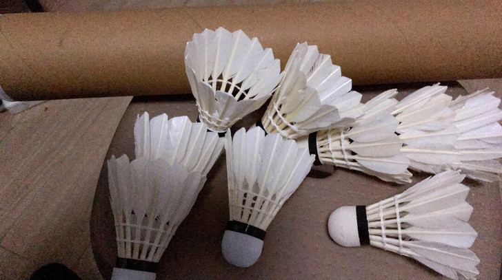 羽毛球12装鹅毛训练球 ,超级耐打王。 限...