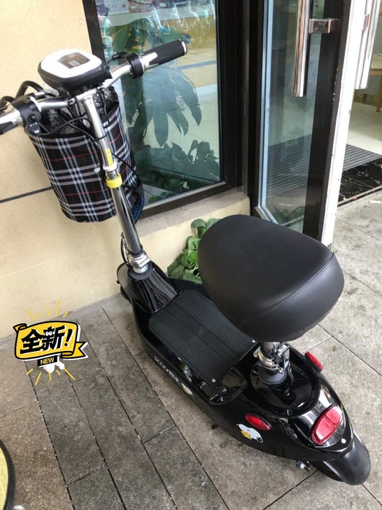 【顺丰包邮】小海豚女性电动车大人小型超轻电...