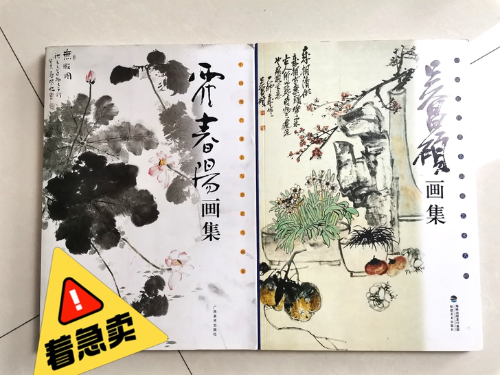 吴昌硕,霍春阳画集,大本,39.9一本,两...
