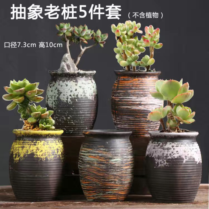 5个多肉小老桩粗陶花盆 透水透气好 抽象复...