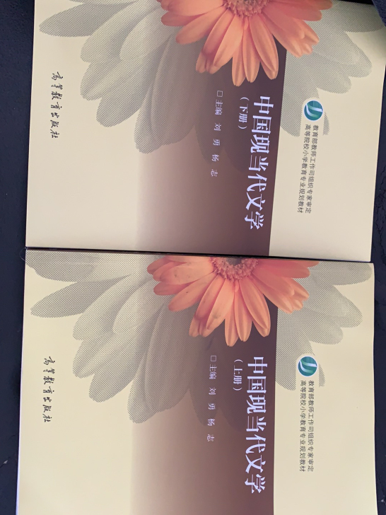 中国现当代文学 上下册
