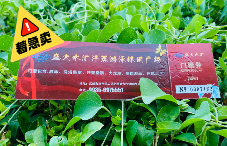 急售：本人有大量盛大水会门票特价18元处理。