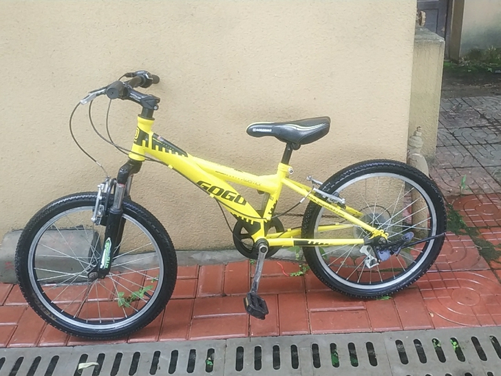 美国GoGobike自行车   20寸  ...