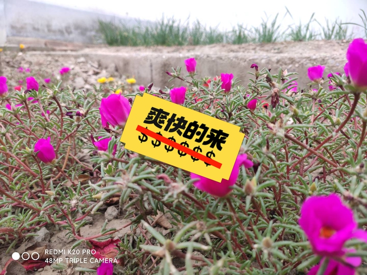 唯亭广场附近有独立卫生间  或者大阳台的！！