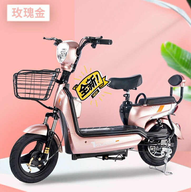#节后鱼生#全新 急售一批全新两轮电动车女...