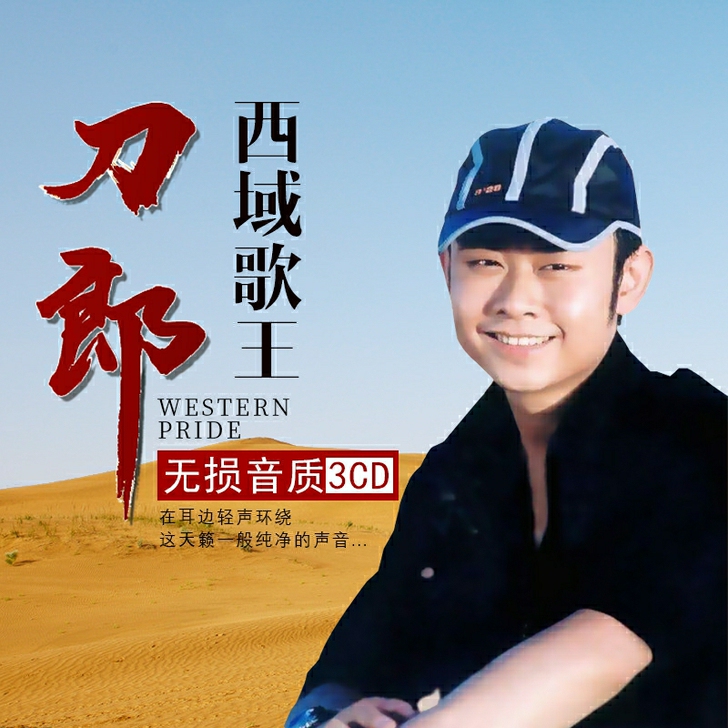 正版刀郎 cd专辑   无损黑胶  光盘唱...