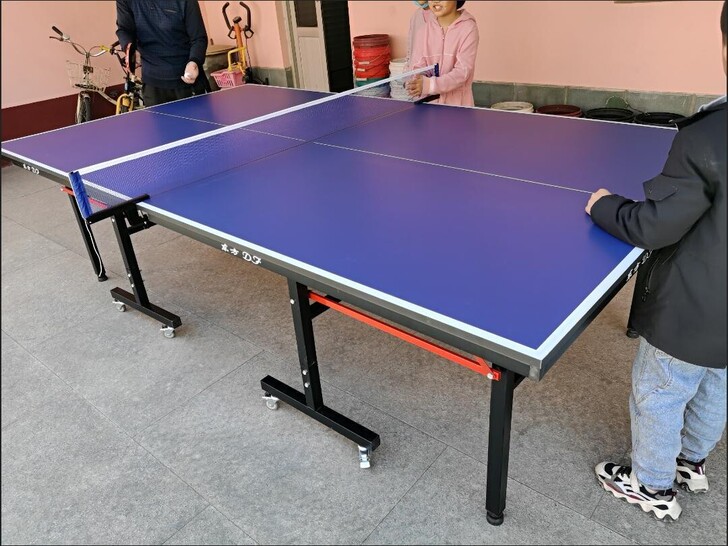 捡漏了！全新室内乒乓球台乒乓球桌家用乒乓球...