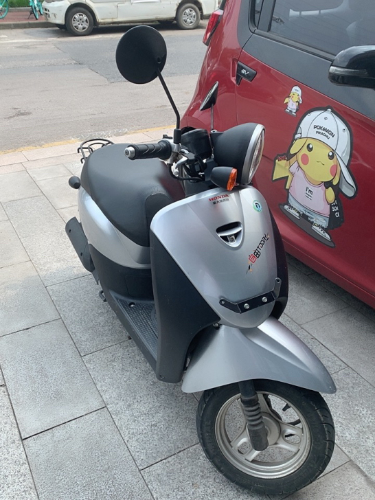 新大洲本田自由50