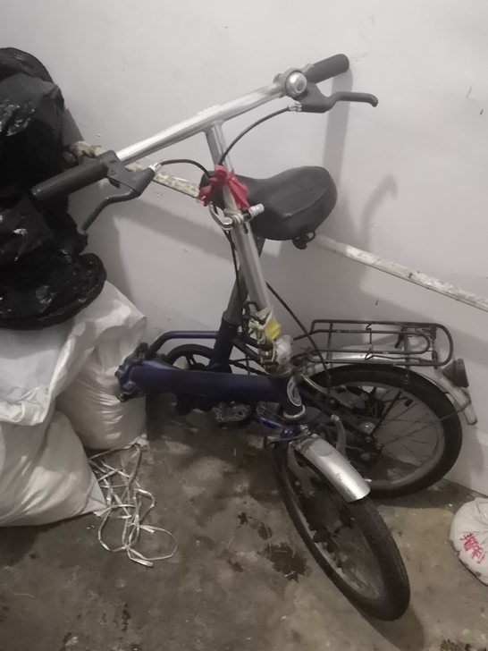 好像是进口品牌，雅自达折叠自行车铝圈