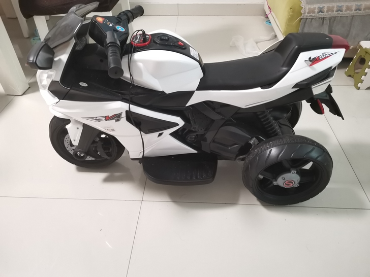 FOREVER/永久 电动车  双电机  ...