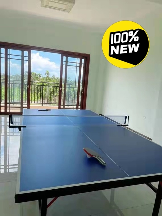 【优质厂家直销】家用乒乓球桌室内可折叠带轮...