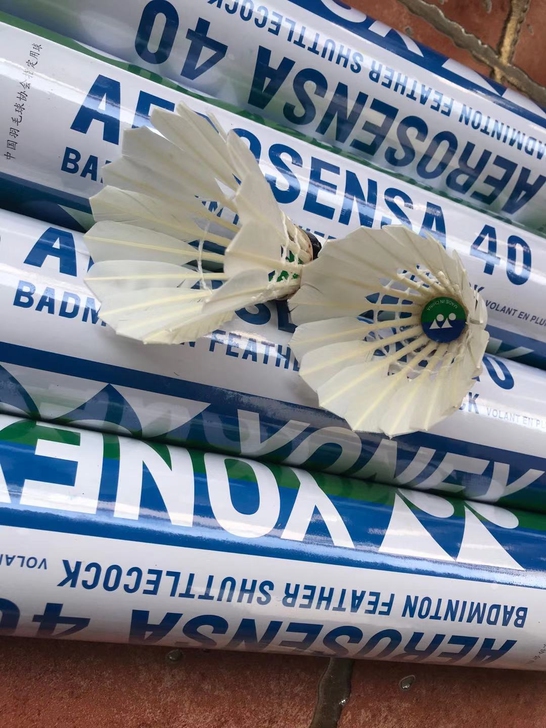 全新未拆封尤尼克斯羽毛球业余专业训练球YY...