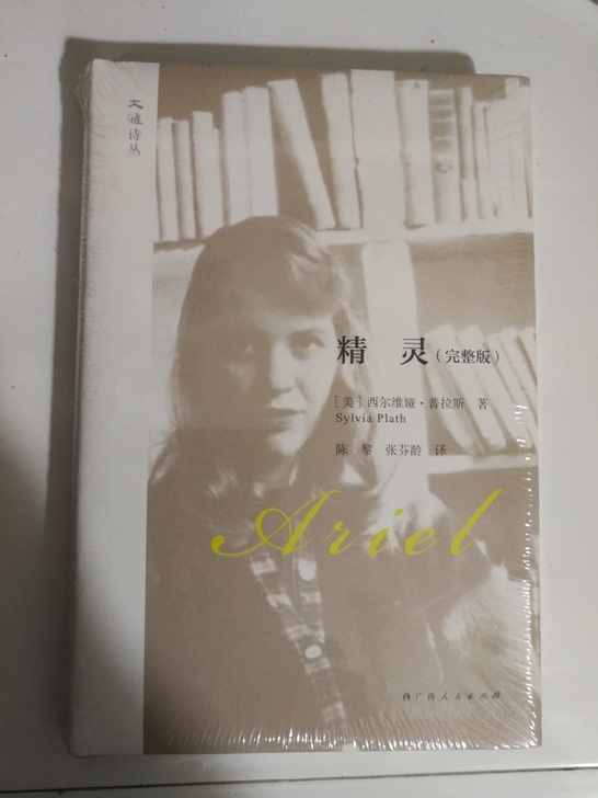 转手一本全新的正版外国文学书籍，塑封好的。...