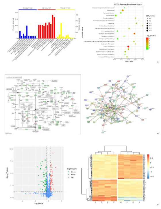 各种热图，火山图，GO分析，KEGG图制作