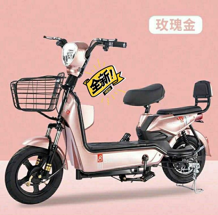 #节后鱼生#实体店处理全新国标电动车电瓶车...