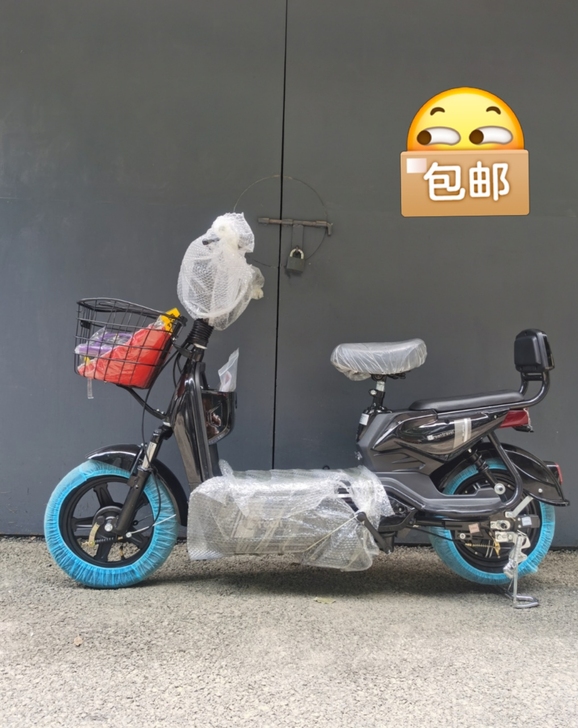 #节后鱼生#2021全新新国标电动车厂家直...