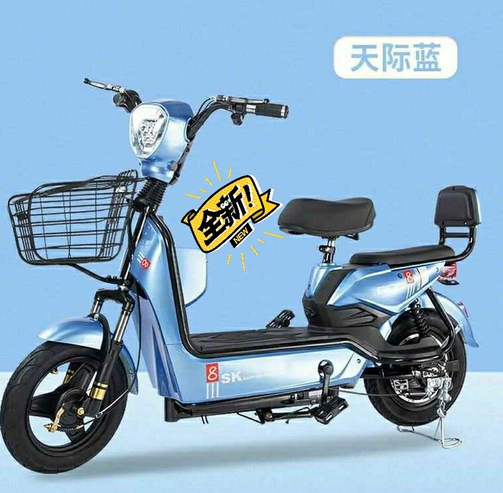 #节后鱼生#实体店处理全新国标电动车电瓶车...