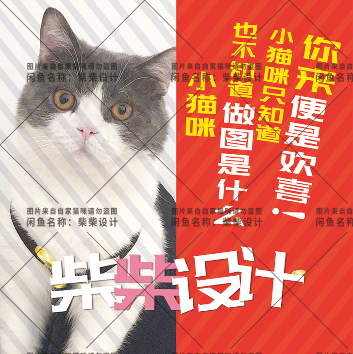 图片处理 修图 P图美工在线 换背景 抠图...