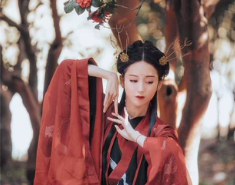 兰若庭汉服  一重衣   魏晋风广袖交领襦...