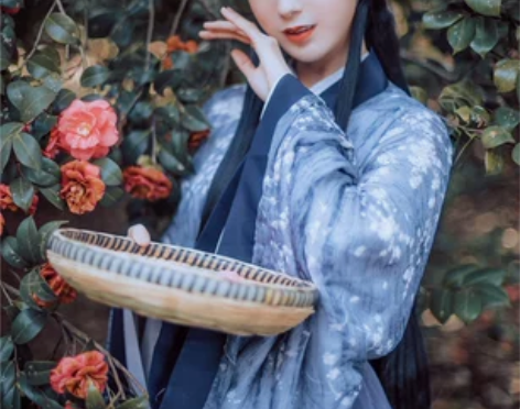 兰若庭汉服 魏晋风 两套可拆 红蓝两色大全...