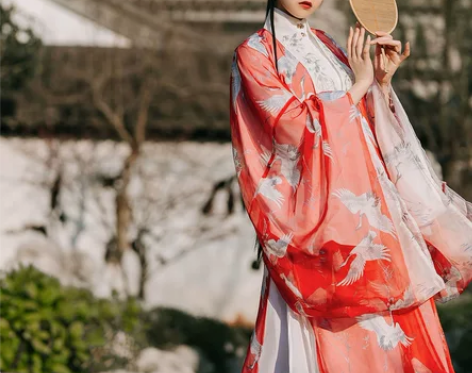 南雅集  逍遥游 中国风原创汉服披风大袖衫...