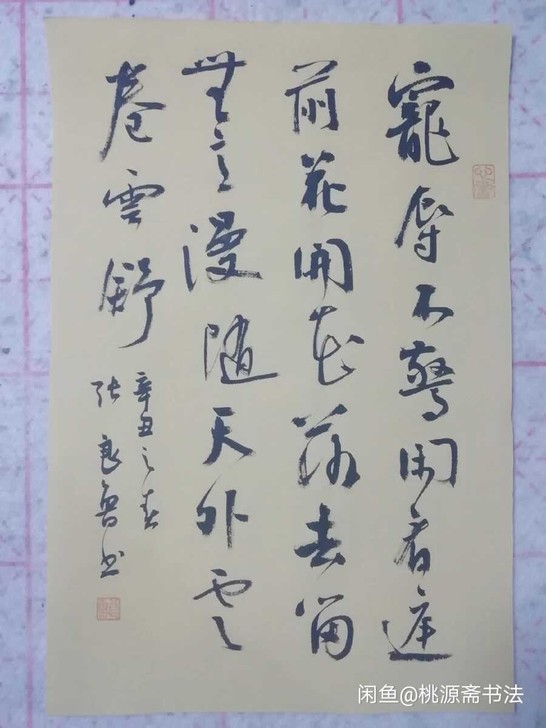 行书书法手写书法作品，宠辱不惊。联句。
