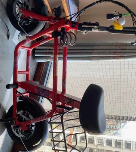 自用电动小单车 淘宝官方购买 有购买记录 ...