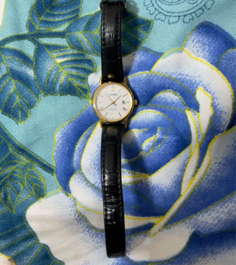 西铁城手表 忘记什么型号 自己看细节 感兴...