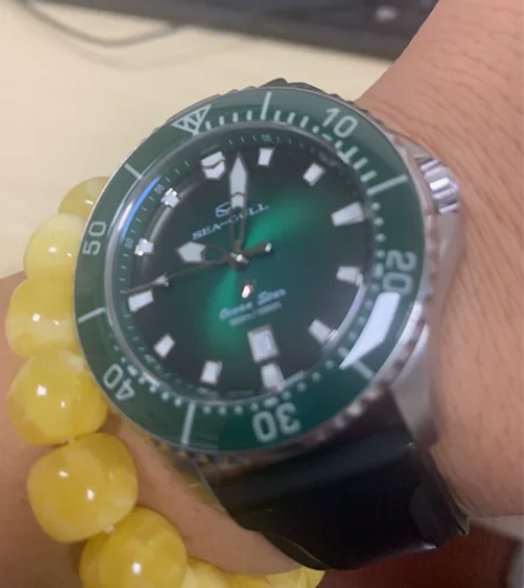 海鸥海鲜之星por海鸥手表，海洋之星Pro...