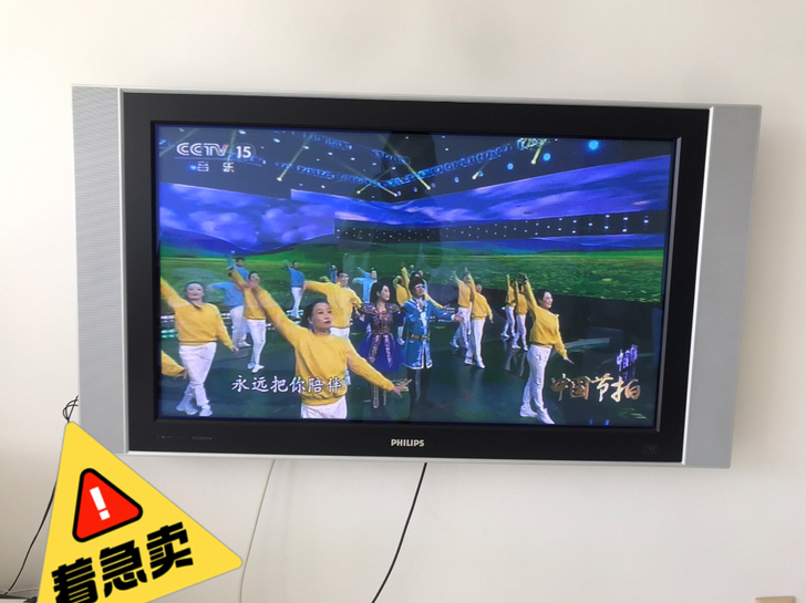 等离子42吋电视,可挂墙可底座。搬家求带走