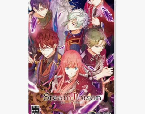 收 switch卡带 蒸汽监狱180（已收...