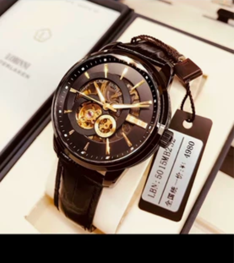 罗宾尼全自动机械手表男2022潮名牌新款腕...