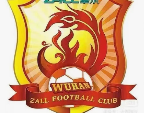 中超联赛 武汉长江VS山东泰安 地点：五环...