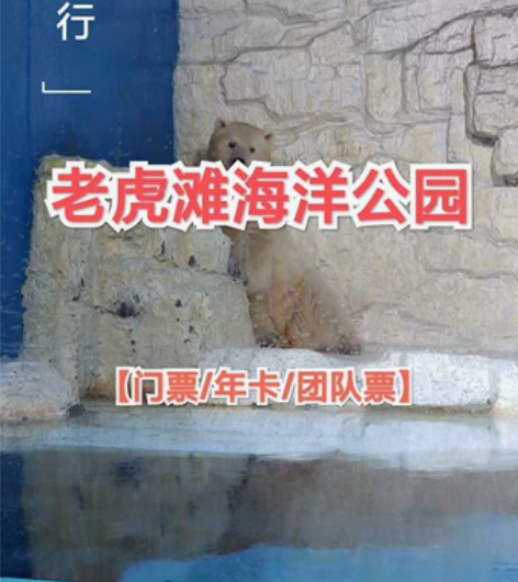 大连老虎滩海洋公园 老虎滩海洋公园极地馆套...