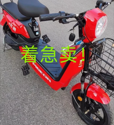 半价急售全新飞鸽新国标电动车成人电动自行车...
