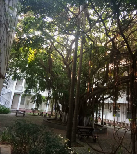 Python编程、MFC编程、C++编程。...