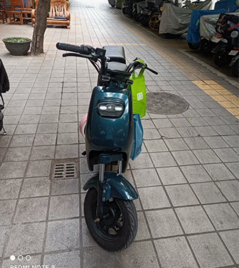 电动车 加州豹 2021年11月在京东入手...