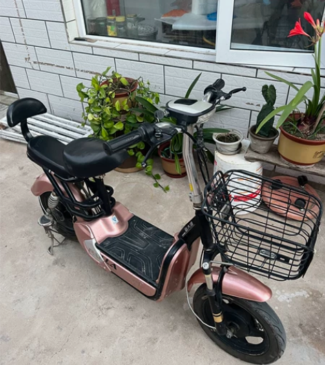 电动车，不退不换！ 感兴趣的话点“我想要”...