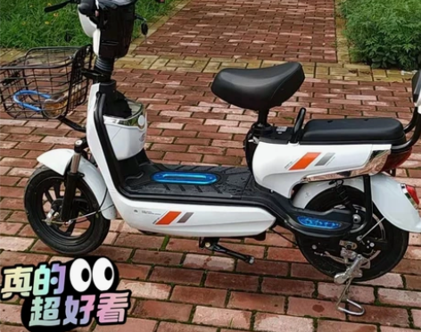 全新未拆封新国标电瓶车新电动车带3c大证可...