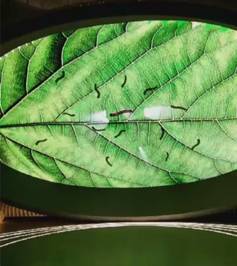 女宝连衣裙丝绸连衣裙宝宝棉绸笛莎连衣裙戴维...