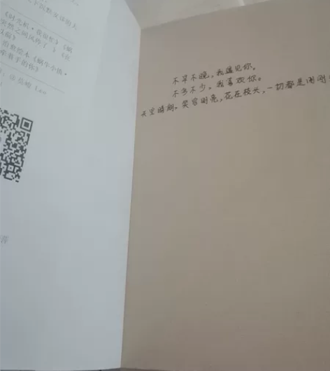 在晴朗的日子我遇见你青春文学小说恋爱回忆录...