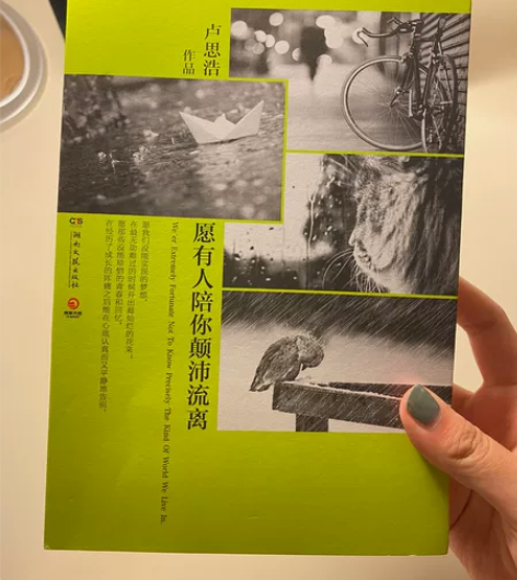 【出】愿有人陪你颠沛流离纸质书 卢思浩散文...