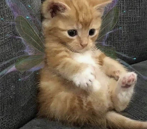 奥罗骑士,猎人,2个号都是72-80,2个...