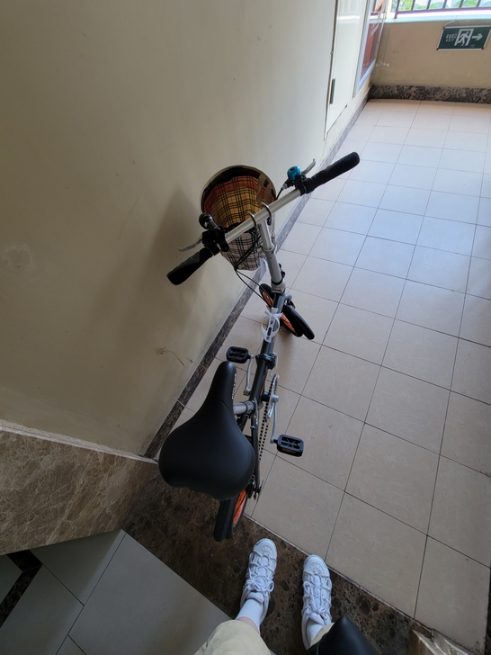 PHILLIPS/菲利普 折叠自行车