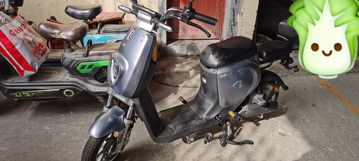 全新台铃电动自行小包国标车，宽大鞍座久骑不...