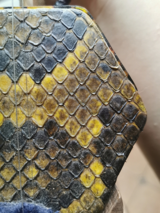 苏州天乐精品香玉檀二胡绿檀款，使用不超过十...