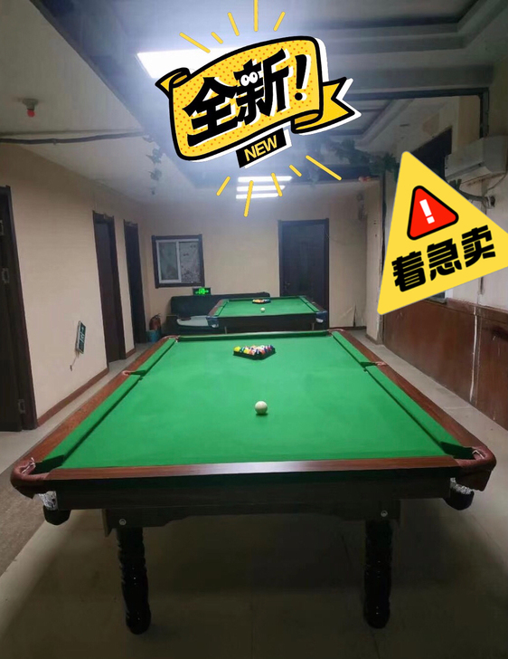 【全新球桌，低价急售】低价出成人休闲娱乐台...