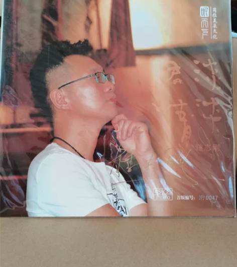 钟志刚 正版黑胶唱片小刚 淡淡君情 LP黑...